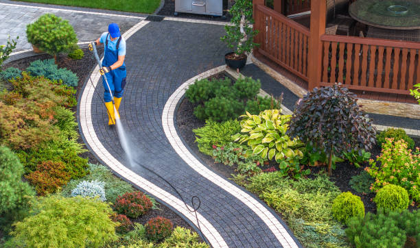 Best Local Pressure Washing Services  in Placentia, CA